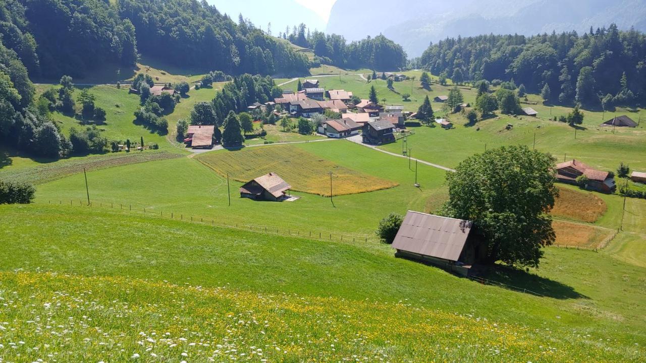 Chalet Bruenig Meiringen Dış mekan fotoğraf
