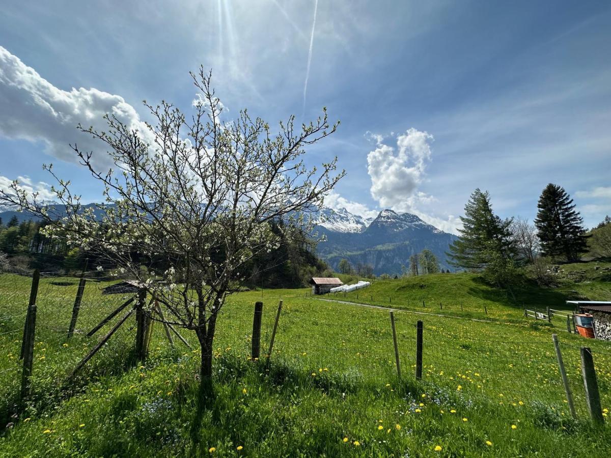 Chalet Bruenig Meiringen Dış mekan fotoğraf