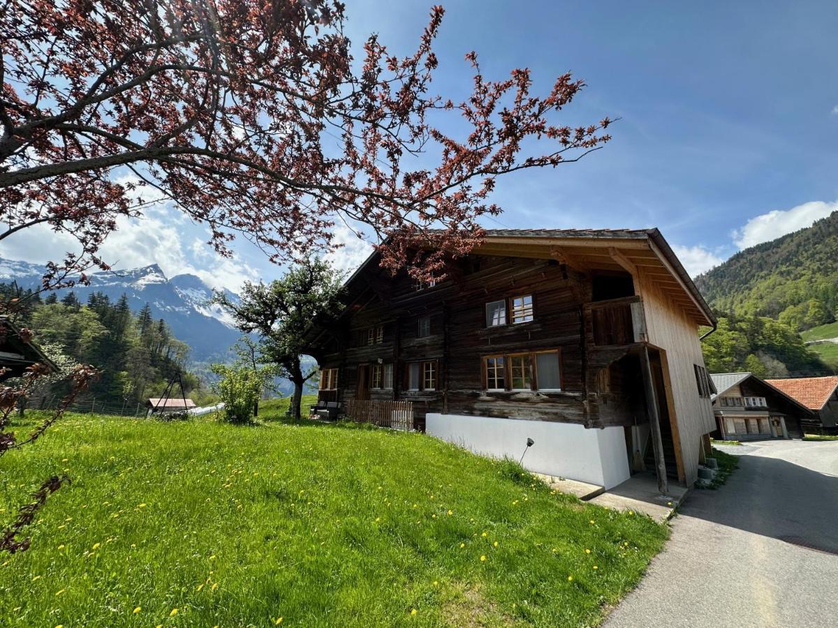 Chalet Bruenig Meiringen Dış mekan fotoğraf