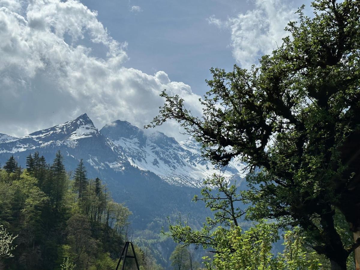 Chalet Bruenig Meiringen Dış mekan fotoğraf