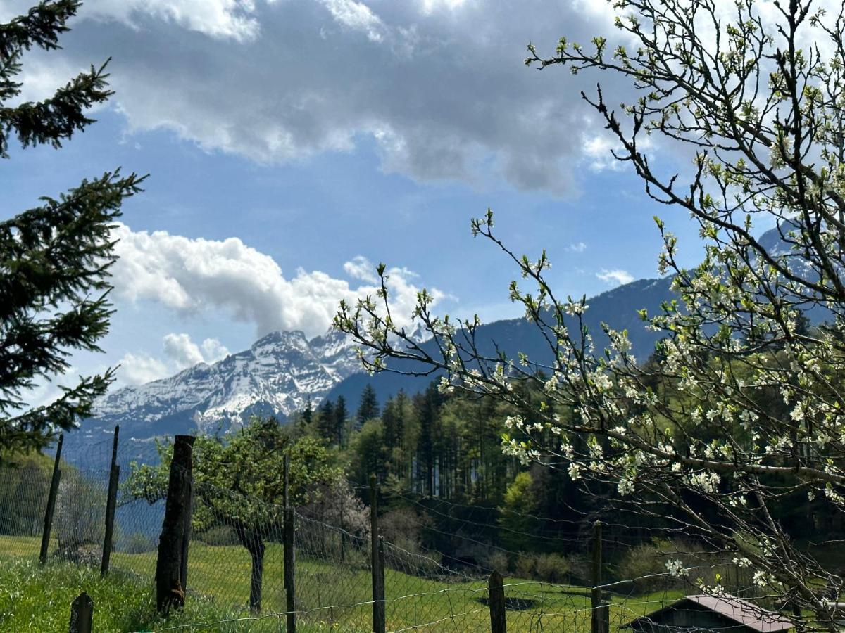 Chalet Bruenig Meiringen Dış mekan fotoğraf
