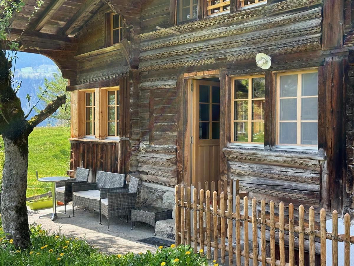 Chalet Bruenig Meiringen Dış mekan fotoğraf
