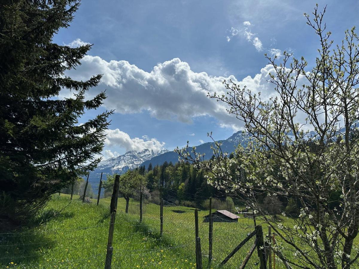 Chalet Bruenig Meiringen Dış mekan fotoğraf