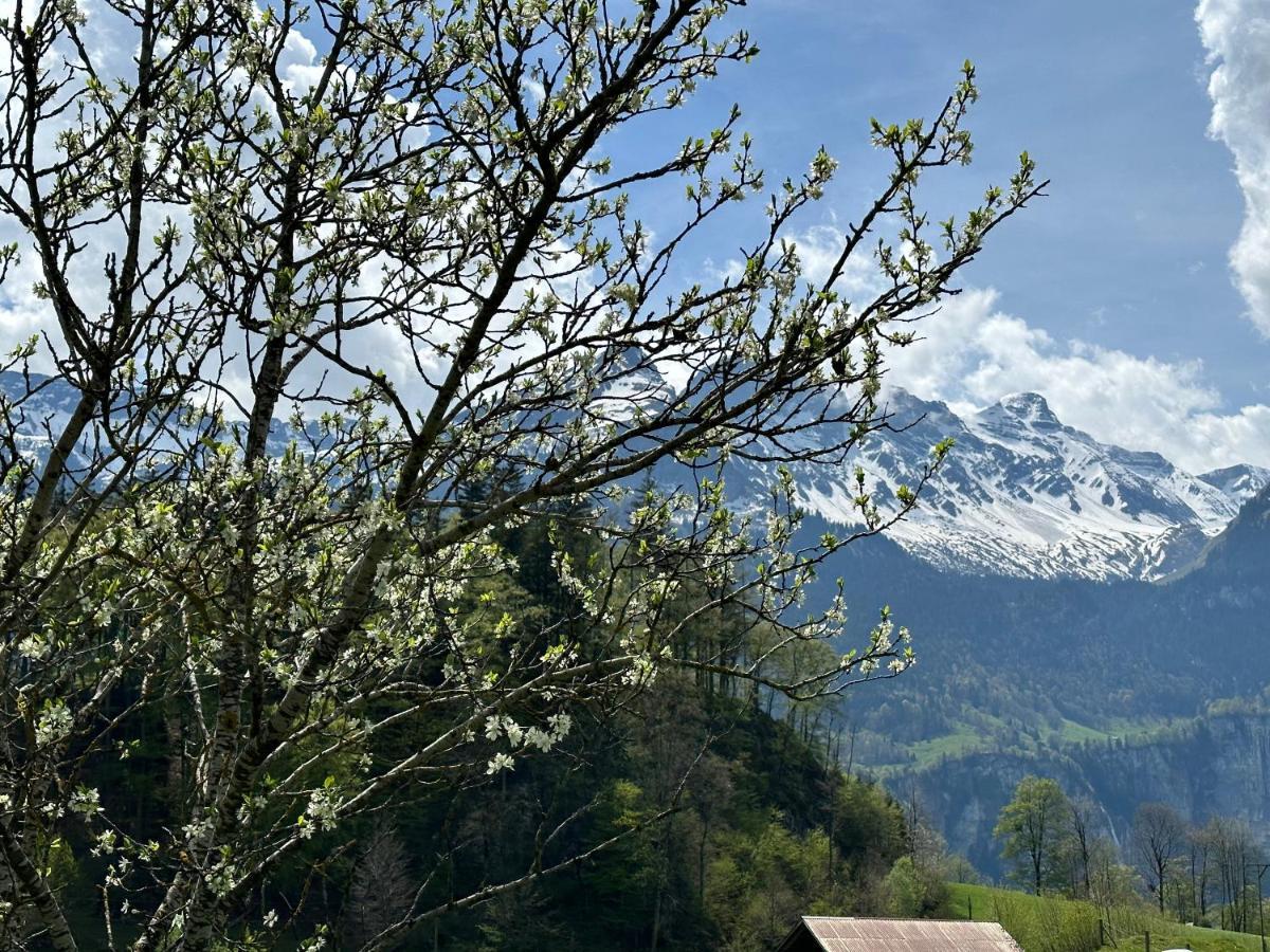 Chalet Bruenig Meiringen Dış mekan fotoğraf