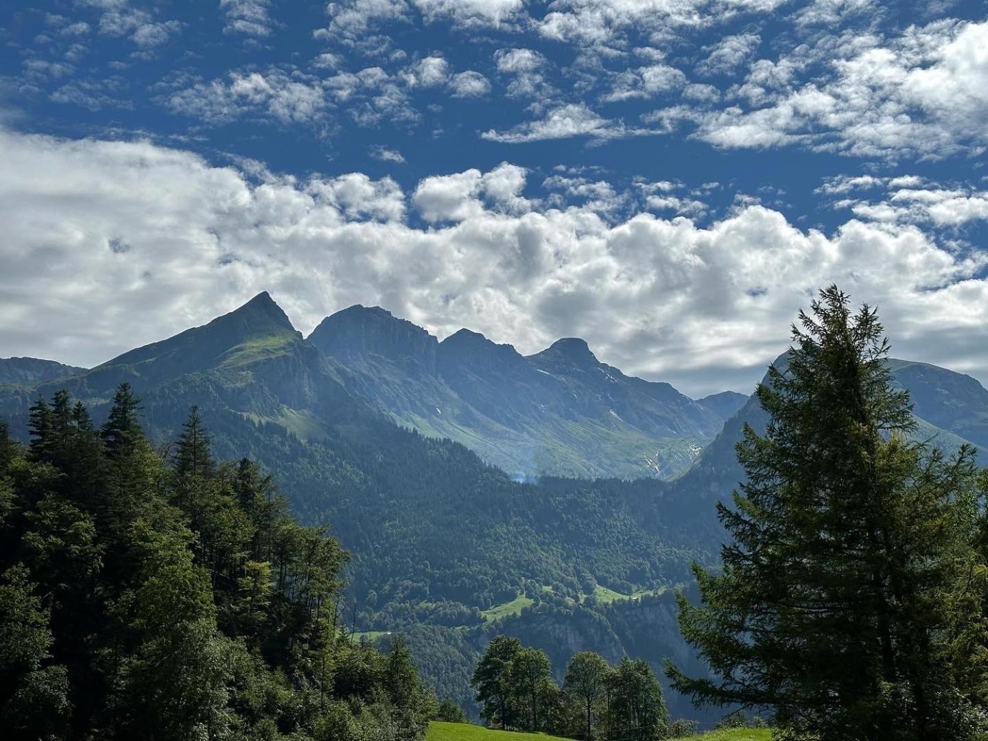 Chalet Bruenig Meiringen Dış mekan fotoğraf