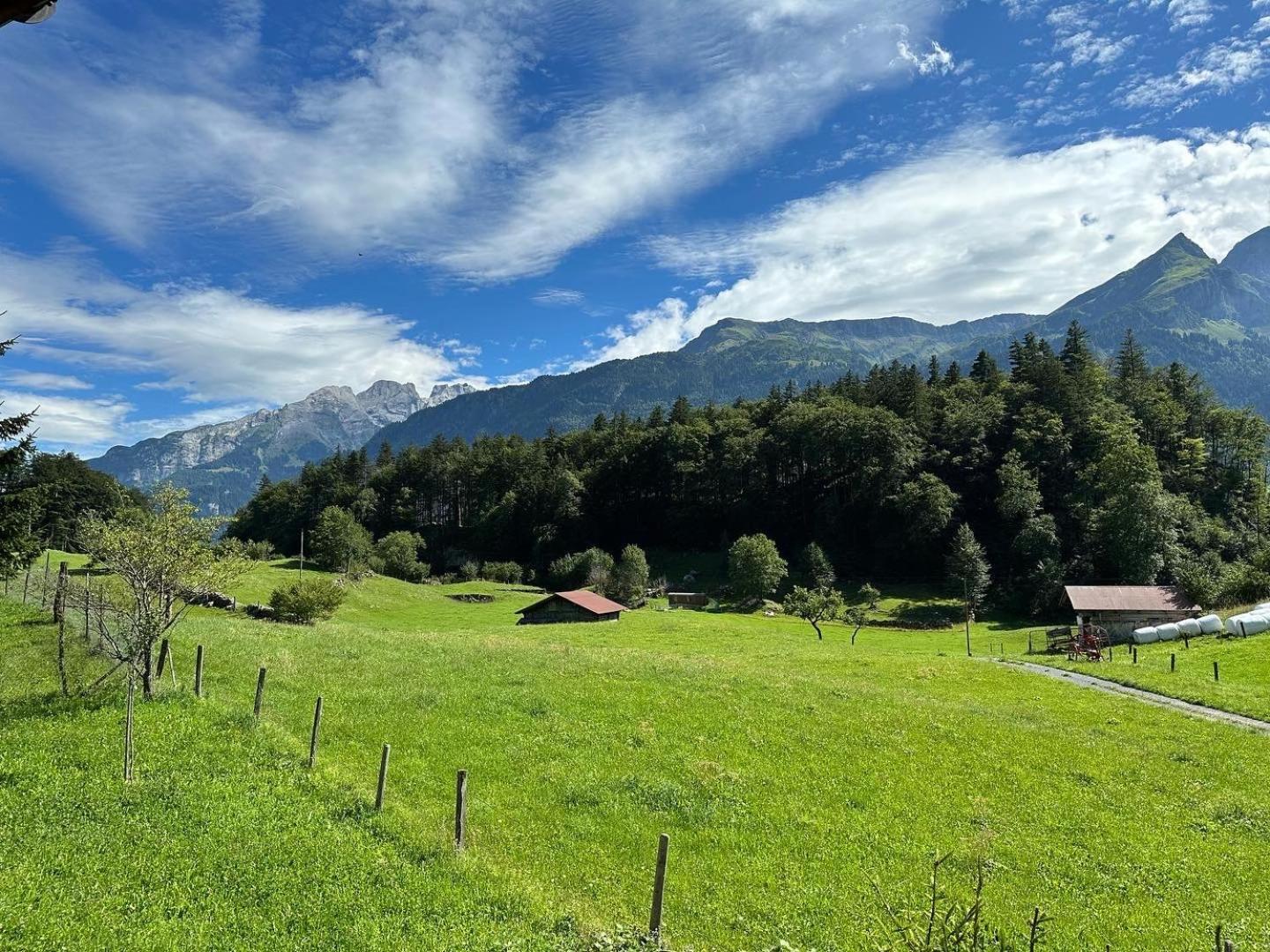 Chalet Bruenig Meiringen Dış mekan fotoğraf
