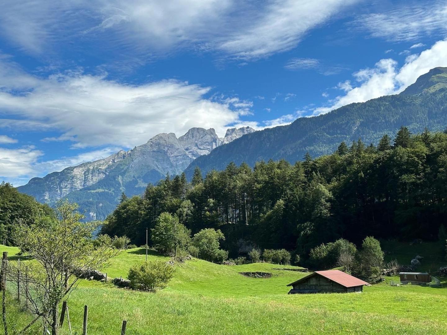 Chalet Bruenig Meiringen Dış mekan fotoğraf