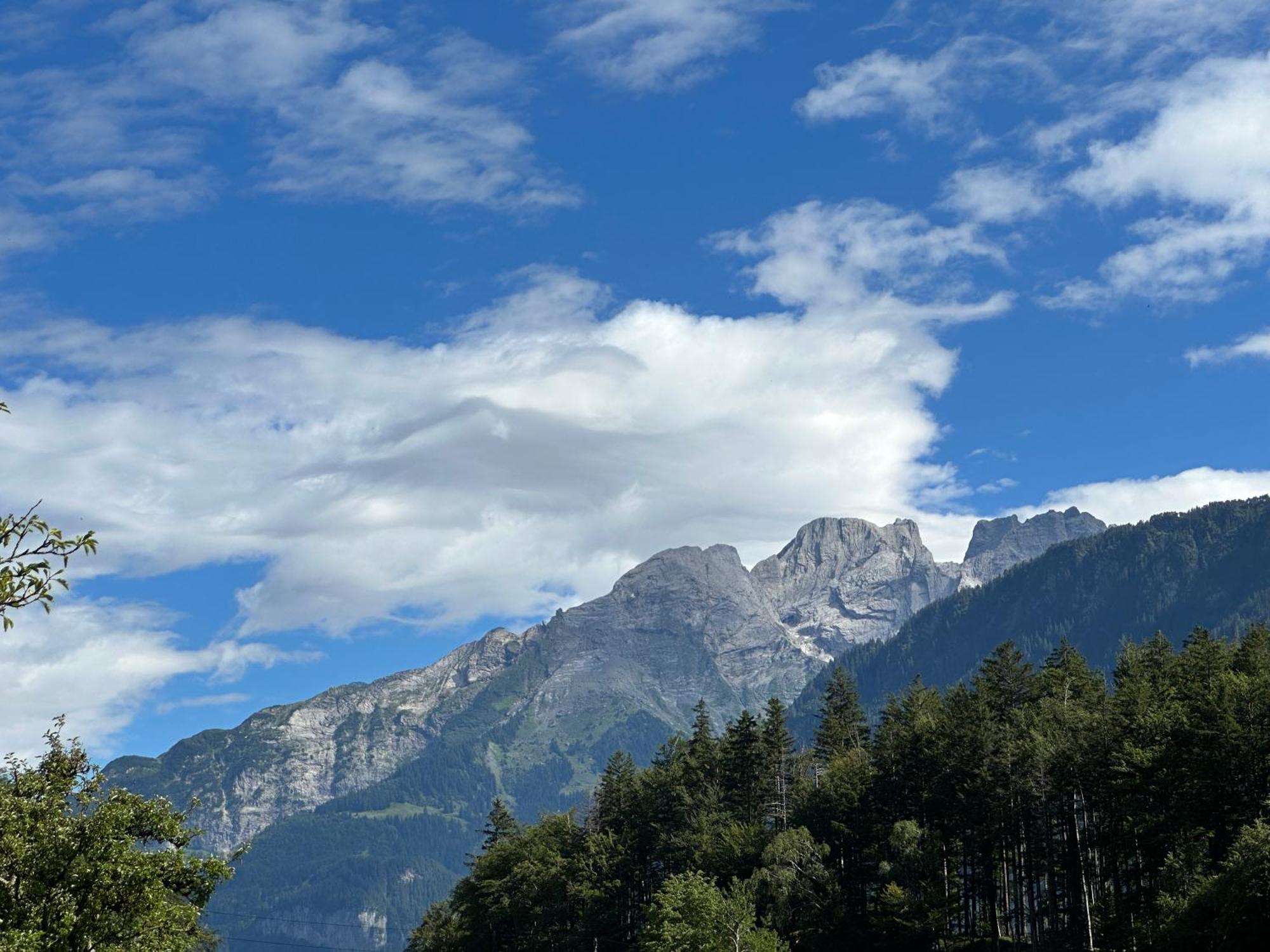 Chalet Bruenig Meiringen Dış mekan fotoğraf