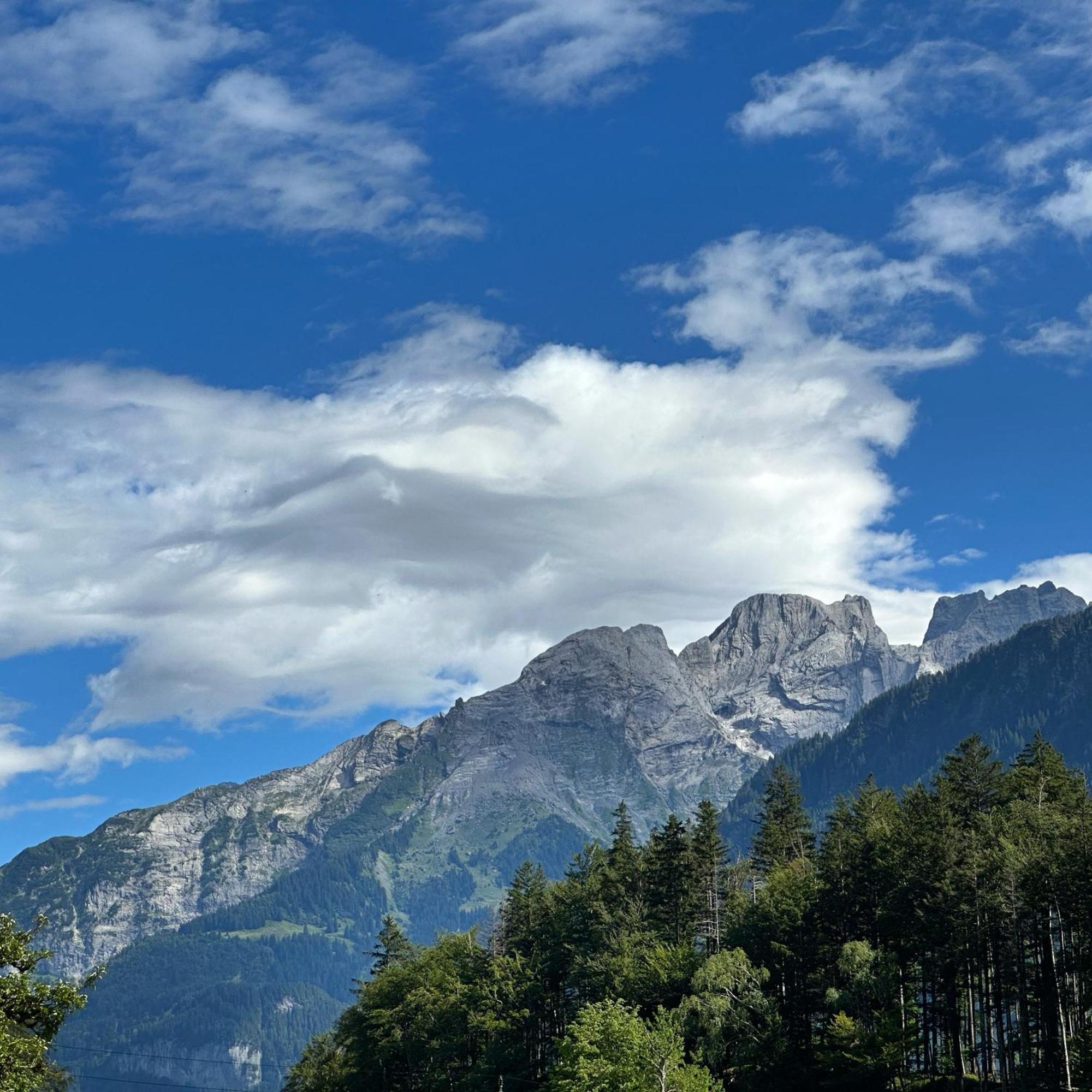 Chalet Bruenig Meiringen Dış mekan fotoğraf