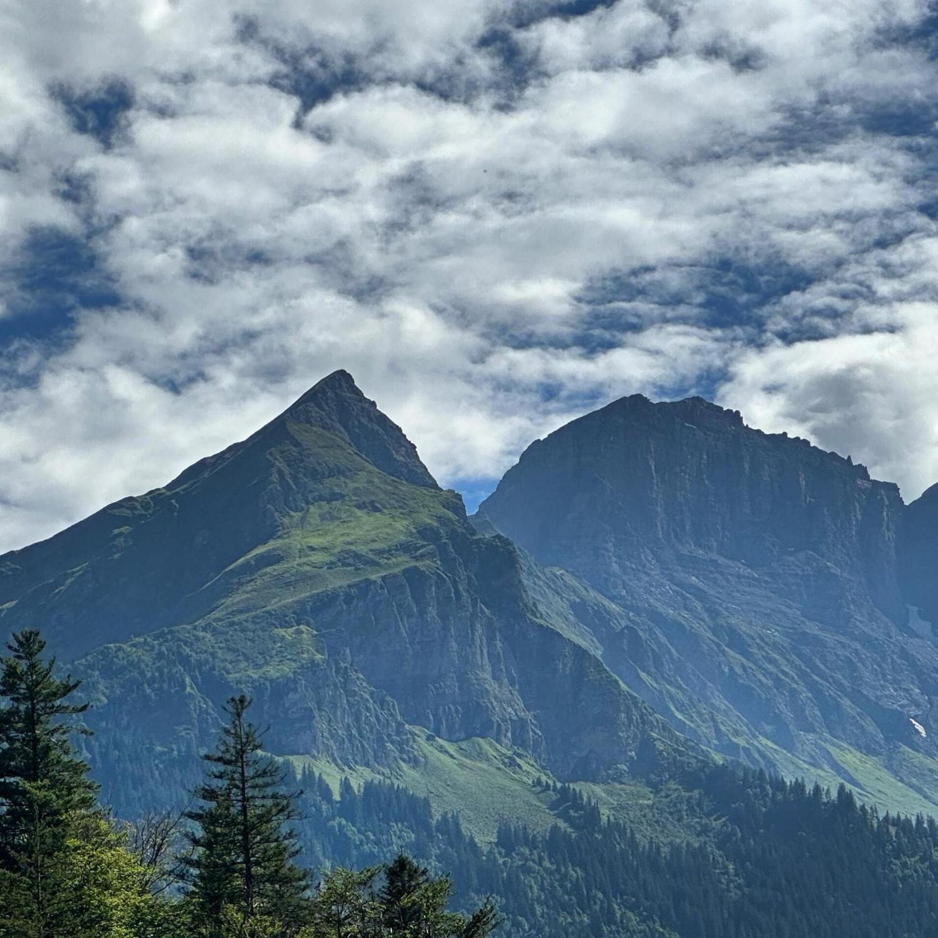 Chalet Bruenig Meiringen Dış mekan fotoğraf